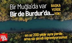 Bir Muğla'da Bir Burdur'da Görürsünüz... En Yaşlısı 200 Yaşında