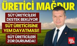 Süt Üreticileri Destek Bekliyor! İzzet Akbulut TBMM’de Konuştu