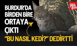 Burdur’da Avcılar Bakın Neyle Karşılaştı