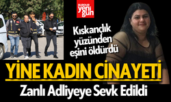 Yine Kadın Cinayeti: Kıskançlık cinayeti şüphelisi koca adliyeye sevk edildi