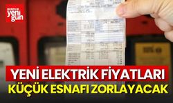 Elektrik Fiyatları Küçük Esnafı Zorlayacak