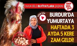 Burdur'da Yumurtaya Haftada 3 Ayda 5 Kere Zam Geldi