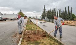 Kepez tarihi mirasıyla yeşilleniyor