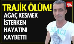 Trajik Ölüm! Ağaç Kesmek İsterken Hayatını Kaybetti