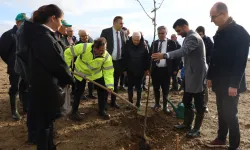 Bursa Karacabey'de şehit Aybüke öğretmen anısına hatıra ormanı