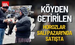 Burdur Salı Pazarı’nda Horoz Fiyatları Gündem Oldu