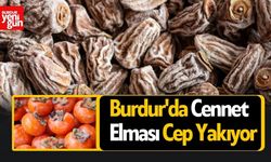 Burdur'da Cennet Elması Cep Yakıyor