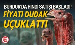 Burdur’da Hindi Satışı Başladı! Fiyatı Dudak Uçuklattı