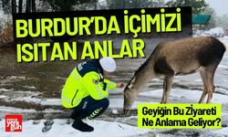 Burdur’da İçimizi Isıtan Anlar Kızıl Geyikten Jandarmaya Ziyaret