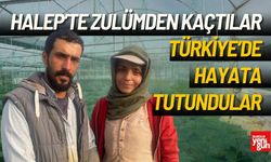 Zulümden Kaçtılar, Türkiye’de Hayata Tutundular