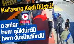 Kaldırımda sohbet eden gencin kafasına kedi düştü