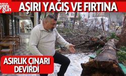 Aşırı Yağış ve Fırtına Asırlık Çınarı Devirdi