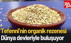 Tefenni’nin Organik Rezenesi Dünya Devleriyle Buluşuyor!