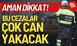 Bu Cezalar Çok Can Yakar Aman Dikkat