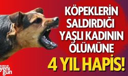 Köpeklerin Saldırdığı Yaşlı Kadının Ölümüne 4 Yıl Hapis!