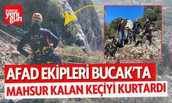 AFAD Ekipleri Bucak’ta Mahsur Kalan Keçiyi Kurtardı