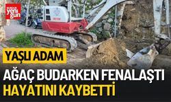 Yaşlı Adam Ağaç Budarken Fenalaşıp Öldü