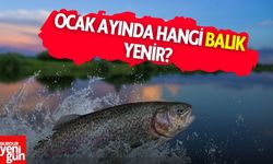 Ocak ayında hangi balıklar tüketilir?