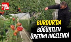 Burdur’da Böğürtlen Üretimi İncelendi