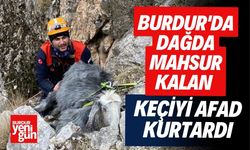 Burdur'da Dağda Mahsur Kalan Keçiyi AFAD Kurtardı