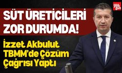 Süt Üreticileri Zor Durumda! Akbulut TBMM’de Çözüm Çağrısı Yaptı