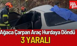 Ağaca Çarpan Araç Hurdaya Döndü, 3 Yaralı