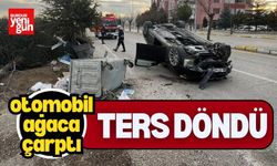 Otomobil ağaca çarparak ters döndü