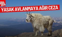 Yasak Avlanmaya Ağır Ceza