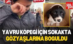 Yavru Köpeği İçin Sokakta Gözyaşlarına Boğuldu