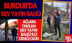 Burdur'da Baraj Gölünde Dev Yayın Balığı