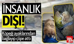 Vicdansızlık! Köpeği Çöp Konteynerine Attı