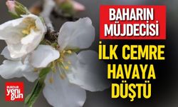 Bahar Müjdecisi Cemre Havaya Düştü