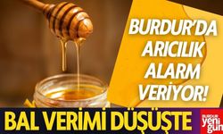 Burdur’da Arıcılık Alarm Veriyor! Bal Verimi Düşüşte