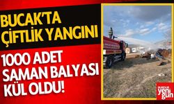 Bucak’ta Çiftlik Yangını: 1000 Saman Balyası Kül Oldu!