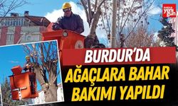 Burdur’da Ağaçlara Bahar Bakımı