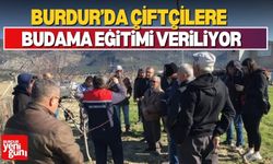 Burdur’da Çiftçilere Budama Eğitimi Veriliyor