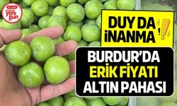 Burdur'da Erik Fiyatı Altın İle Yarışıyor