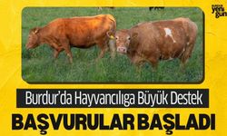 Burdur’da Hayvancılığa Büyük Destek