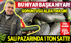 Görüntüsü Aldatmasın! Bu Salatalık Organik ve Çok Lezzetli