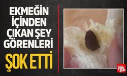 Ekmeğin İçinden Çıkan Şey Görenleri Şaşırttı