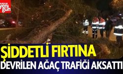 Şiddetli Fırtına: Devrilen Ağaç Trafiği Aksattı