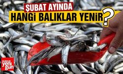 Şubat Ayında Hangi Balıklar Yenir?