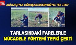 Tarlasındaki Farelerle Mücadele Yöntemi Tepki Çekti