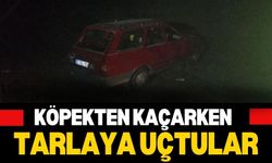 Köpekten Kaçarken Tarlaya Uçtular