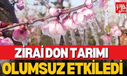 Zirai Don Tarımı Olumsuz Etkiledi