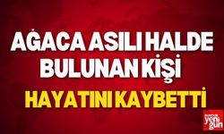 Ağaca Asılı Halde Bulunan Kişi Hayatını Kaybetti