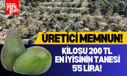 Kilosu 200 TL En İyisinin Tanesi ise  55 Lira!