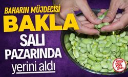 Baharın Müjdecisi Bakla Salı Pazarında Yerini Aldı