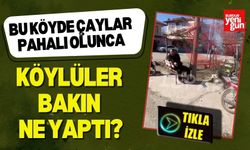 Bu Köyde Çaylar Pahalı Olunca Köylüler Bakın Ne Yaptı?