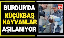 Burdur’da Küçükbaş Hayvanlar Aşılanıyor